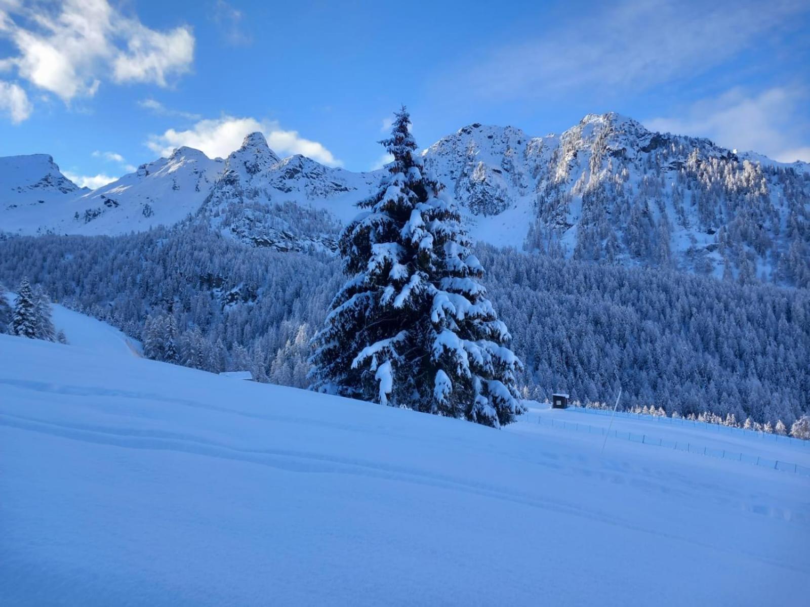 L' Aroula Rooms&Restaurant Champoluc Extérieur photo
